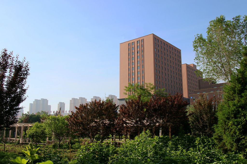 避免被站外镜像带偏