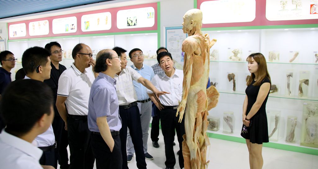 1542348371.jpg 培育办学特色的重点建设项目